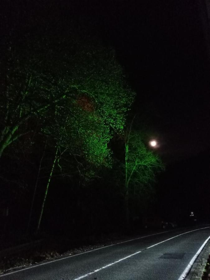 Koenigreich Romkerhall Schulenberg im Oberharz Bagian luar foto